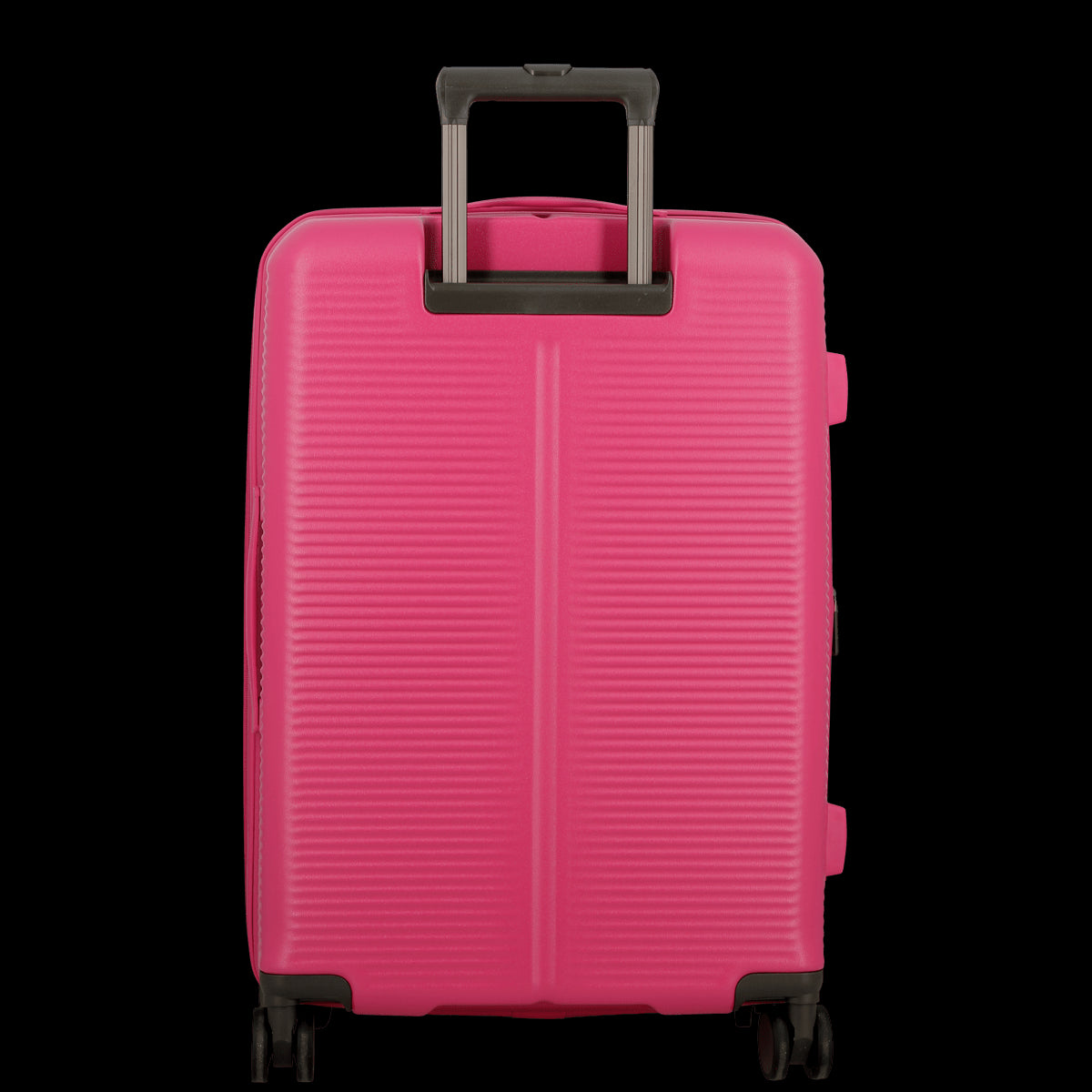 Rose Fuchsia