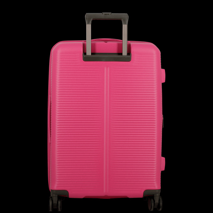 Rose Fuchsia